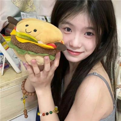 盗贼泰瑞莎